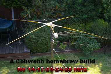 A Cobwebb homebrew buil