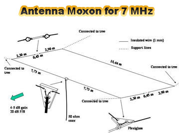 Antenna Moxon for 7 MHz