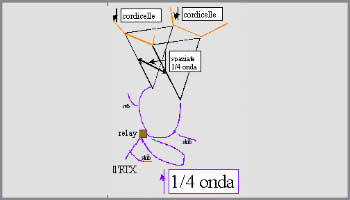 Antenna Delta loop bidirettiv