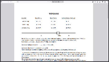 Windom con balun 6.1