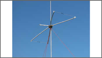 Six Meter Moxon Antenna