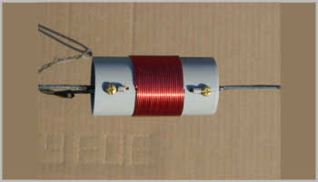 20-40 Meter Short Coil Loaded Dipole Antenna