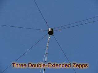 Three Double-Extended Zepps