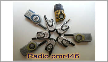 Che cos'e una radio PMR446