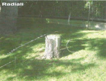 radiali